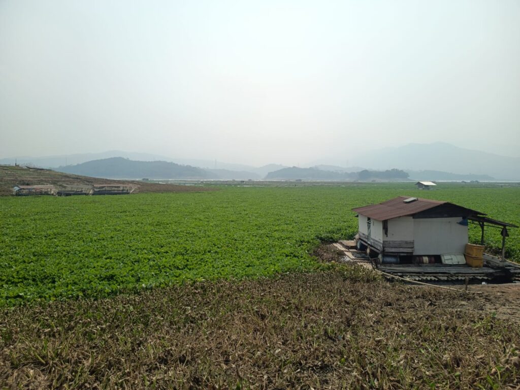 IMG-20260824-WA0009