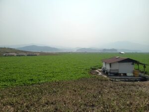 IMG-20260824-WA0009