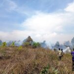 Kebakaran Lahan Terjadi di Legok Huni Wanayasa, Damkar Bergerak Cepat Padamkan Api